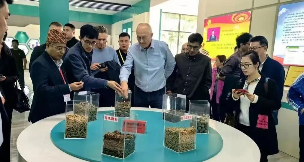 生物质清洁炊事与供暖国际合作论坛顺利召开4